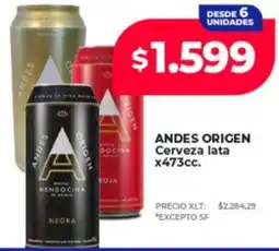 Supermayorista Vital Andes origen cerveza lata oferta