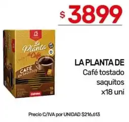 Nini Mayorista La planta de café tostado saquitos oferta