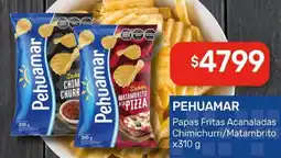 Nini Mayorista Pehuamar papas fritas acanaladas chimichurri/matambrito oferta