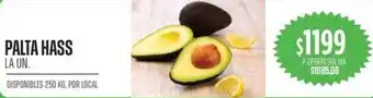 Palta hass