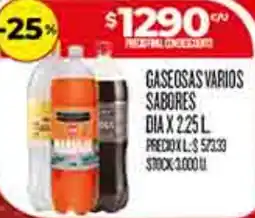 Supermercados DIA Dia gaseosas varios sabores oferta