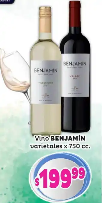 Benjamín Vino Varietales x 750cc