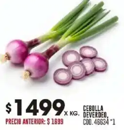 Coto Cebolla deverdeo oferta