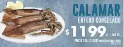 Coto Calamar entero congelado oferta