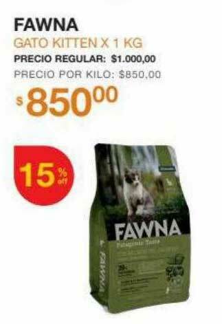 Fawna Gato Kitten