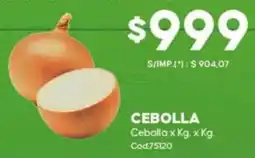Diarco Cebolla oferta