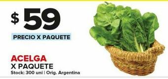 Carrefour Maxi Acelga x paquete oferta