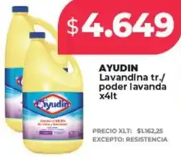 Supermayorista Vital Ayudín lavandina tr./ poder lavanda oferta