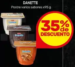 Nini Mayorista Danette postre varios sabores oferta