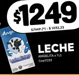 Diarco Leche angelita oferta