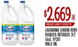 Supermercados Yaguar Ayudín lavandina ropa blancos intensos oferta