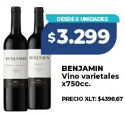 Supermayorista Vital Benjamin vino varietales oferta
