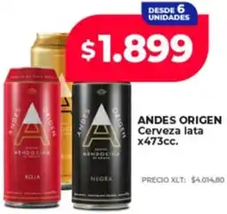 Supermayorista Vital Andes origen cerveza lata oferta