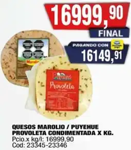 Maxiconsumo Marolio / puyehue quesos provoleta condimentada oferta