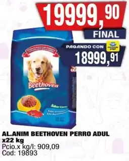 Maxiconsumo Beethoven al.anim perro adul oferta
