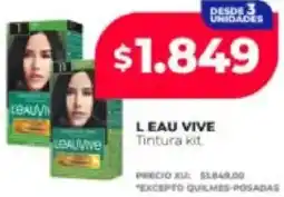 Supermayorista Vital Leau vive tintura kit oferta