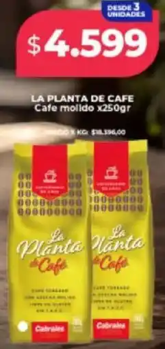 Supermayorista Vital La planta de cafe cafe molido oferta