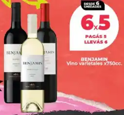 Supermayorista Vital Benjamin vino varietales oferta