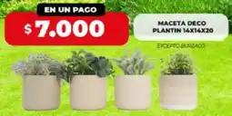 Supermayorista Vital Maceta deco plantin oferta