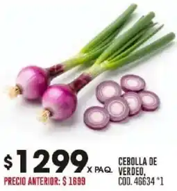 Coto Cebolla de verdeo oferta