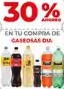 Supermercados DIA Dia en tu compra de gaseosas oferta