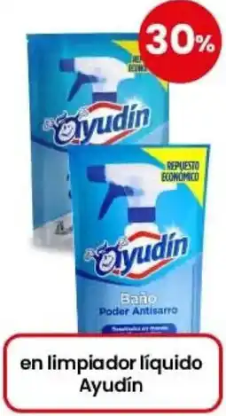 Coto Ayudín en limpiador líquido oferta