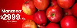 Coto Manzana oferta