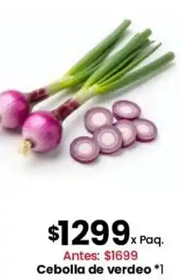 Coto Cebolla de verdeo oferta