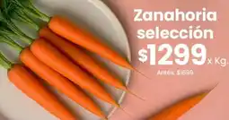 Coto Zanahoria selección oferta