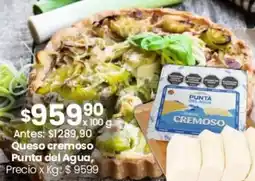 Coto Punta del agua queso cremoso oferta