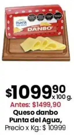 Coto Punta del agua queso danbo oferta