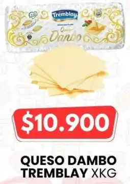 Autoservicio Capo Tremblay queso dambo oferta