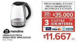 Carrefour Mandine jarra electrica oferta