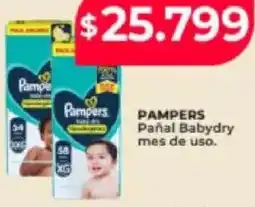 Supermayorista Vital Pampers pañal babydry mes de uso oferta