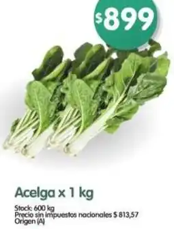 Supermercados Buenos Días Acelga oferta