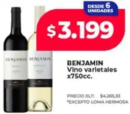 Supermayorista Vital Benjamin vino varietales oferta