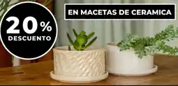 Supermayorista Vital En macetas de ceramica oferta