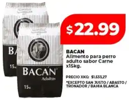 Supermayorista Vital Bacan allmento para perro adulto sabor carne oferta