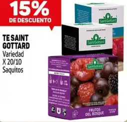 Makro Té saint gottard variedad oferta