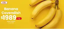 Coto Banana cavendish oferta