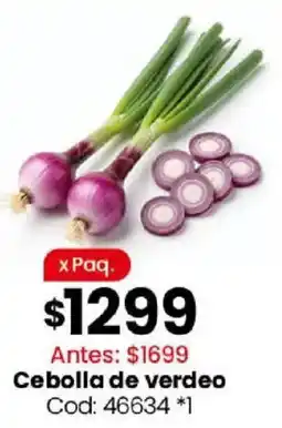 Coto Cebolla de verdeo oferta