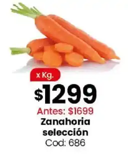 Coto Zanahoria selección oferta