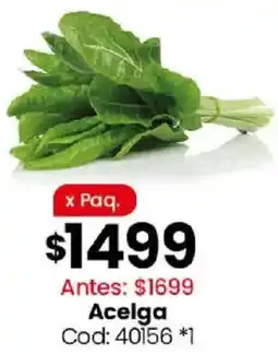 Coto Acelga oferta