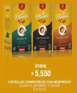Makro La planta de café cápsulas compatibles con nespresso clásico, intenso y suave oferta