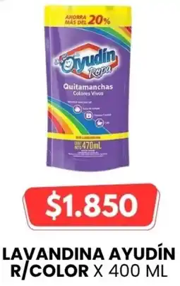 Autoservicio Capo Ayudín lavandina r/color oferta