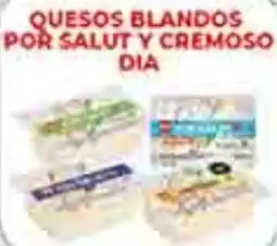 Supermercados DIA Dia quesos blandos por salut y cremoso oferta