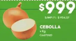 Diarco Cebolla oferta
