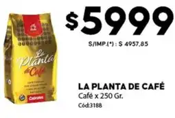Diarco La planta de café oferta