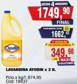 Maxiconsumo Ayudín lavandina oferta