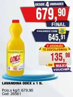 Maxiconsumo Odex lavandina oferta